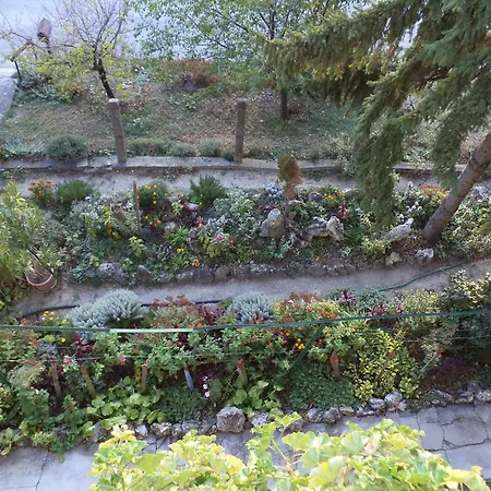 Flora Apartman Appartement