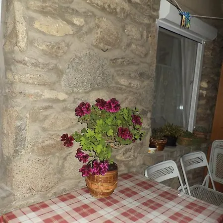 Appartement Flora Apartman *